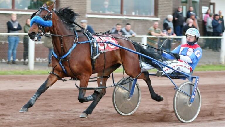 harness racing odds